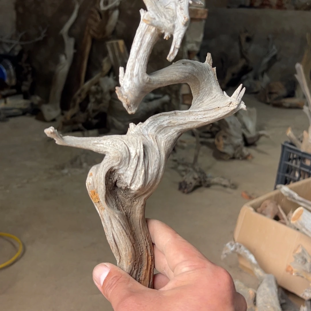 一***浪柏木（崖柏）文玩根雕