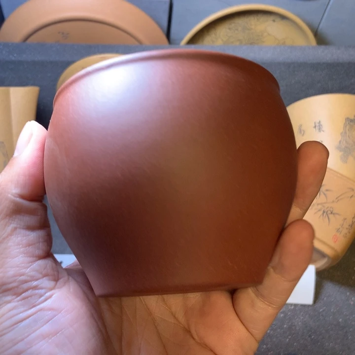 懒***猫紫砂77534677666447