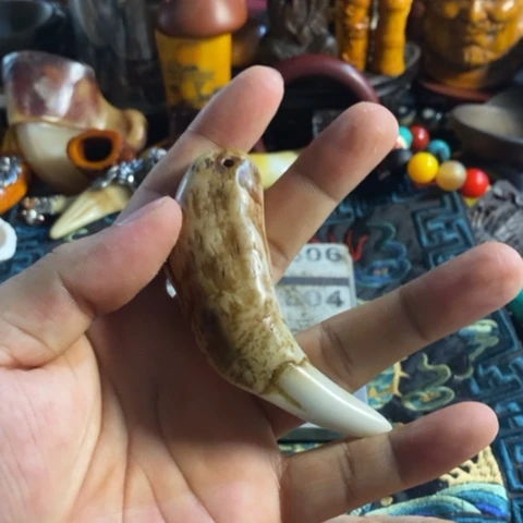 寻呼台的一位官员告诉南方