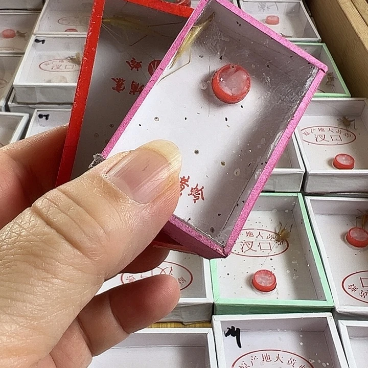 一只紫竹➕一只柬埔寨