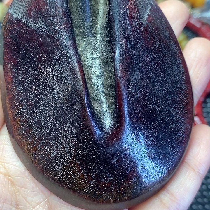 其他驼骨其他配饰