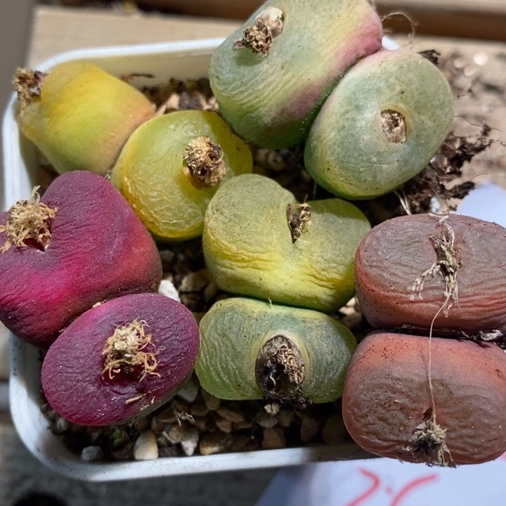 30106一组一组一组