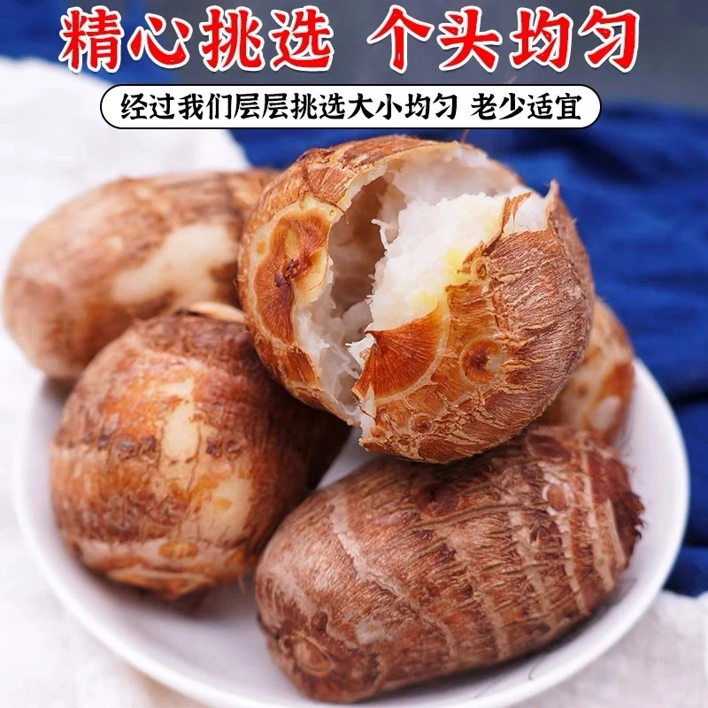 【2025新芋】正宗云南新鲜毛芋头小艿芋香芋现挖现发香糯香芋1-10斤