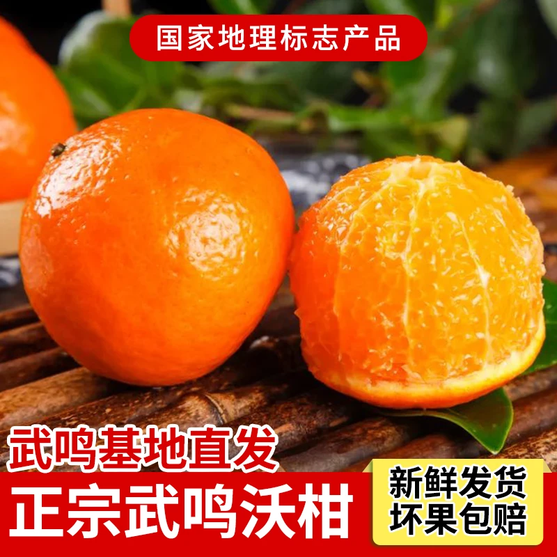 AZ正宗武鸣沃柑鲜甜新鲜水果柑橘子武鸣直发