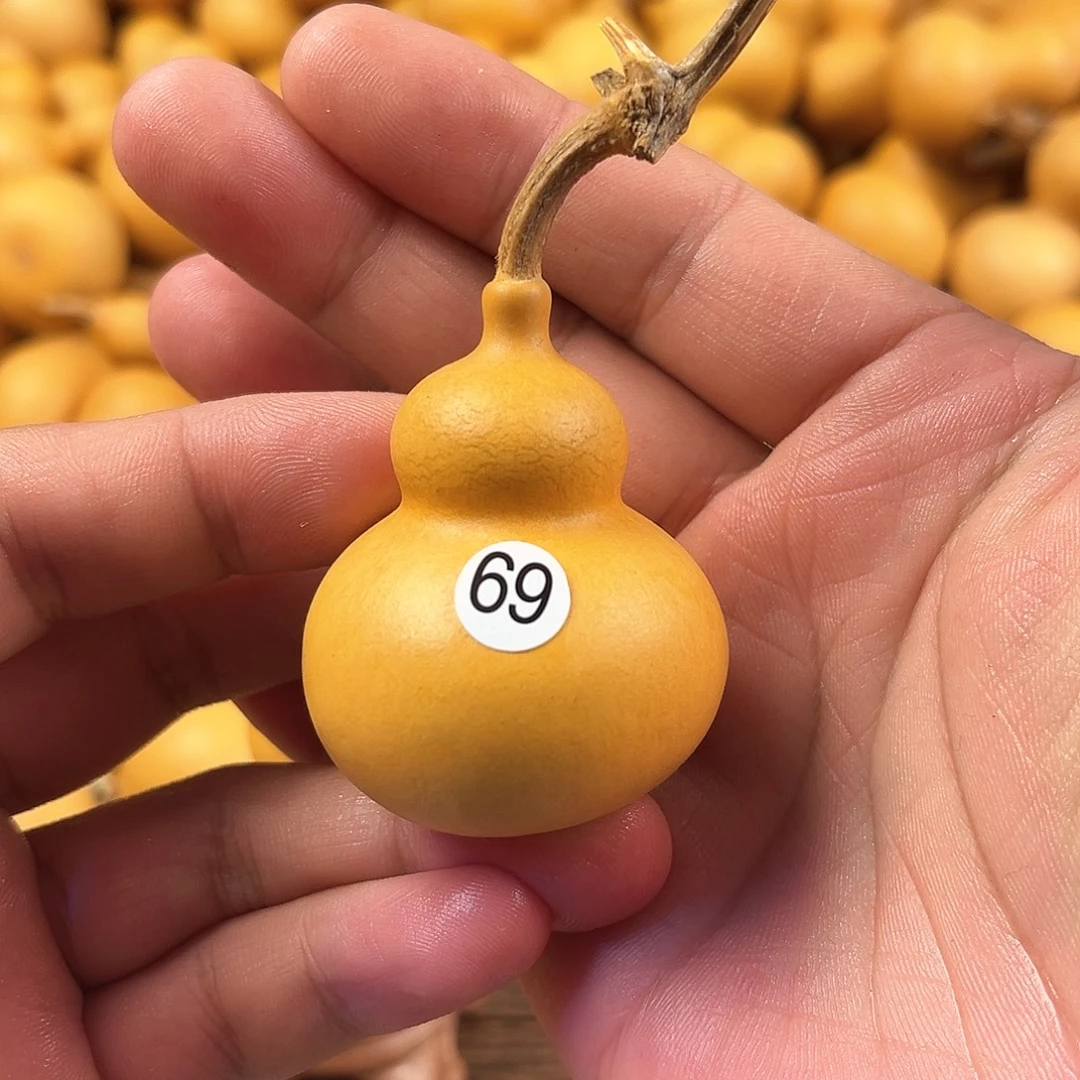 四葫芦葫芦葫芦葫芦69
