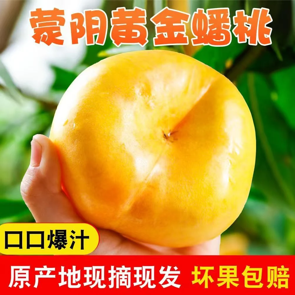 山东蒙阴-7油蟠桃新鲜多汁夏日应季水果现摘现发自产自销