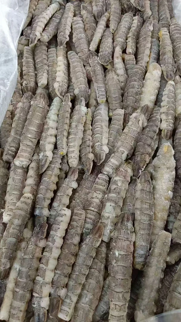 生冻虾爬子皮皮虾肉3斤新鲜现剥顺丰发货