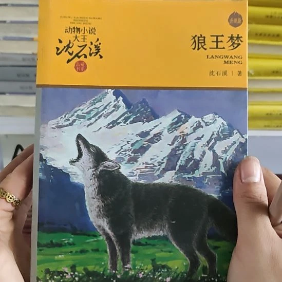 狼王梦闪购闪购闪购6