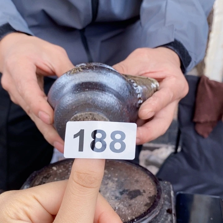 茶盏图啦啦啦啦啦啦188