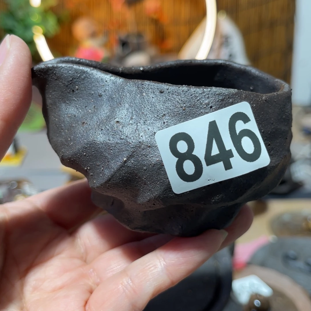 花*眠木村信弘柴烧保平