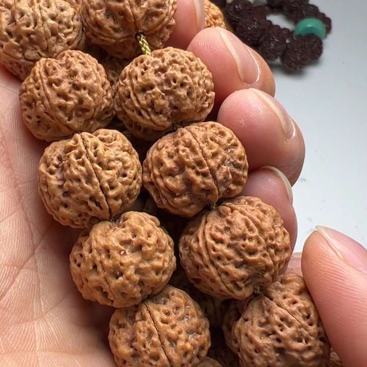 金刚菩提吊坠5瓣20龙牙梅花