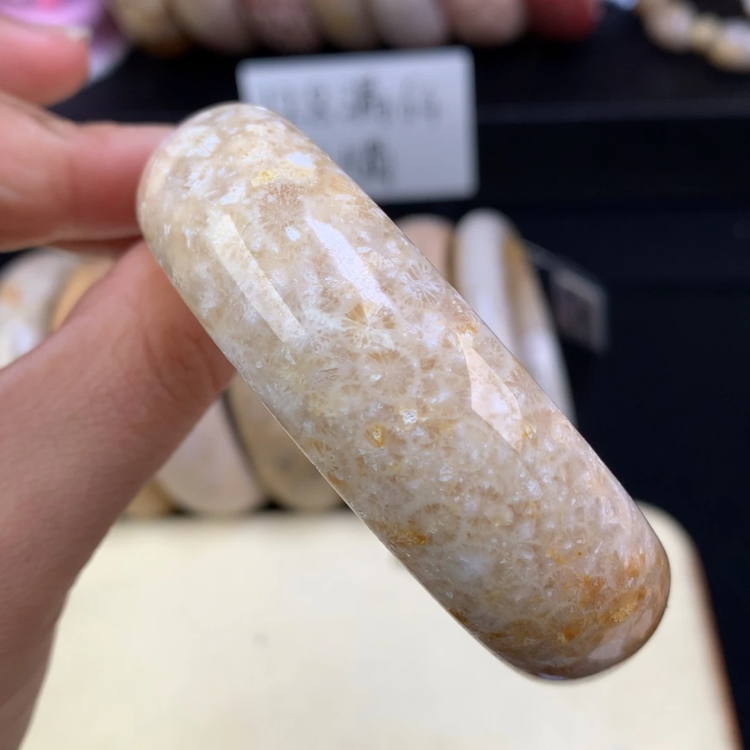 硅化珊瑚（珊瑚玉）未镶嵌吊坠(赠链)五折手镯58.8圈（64号）