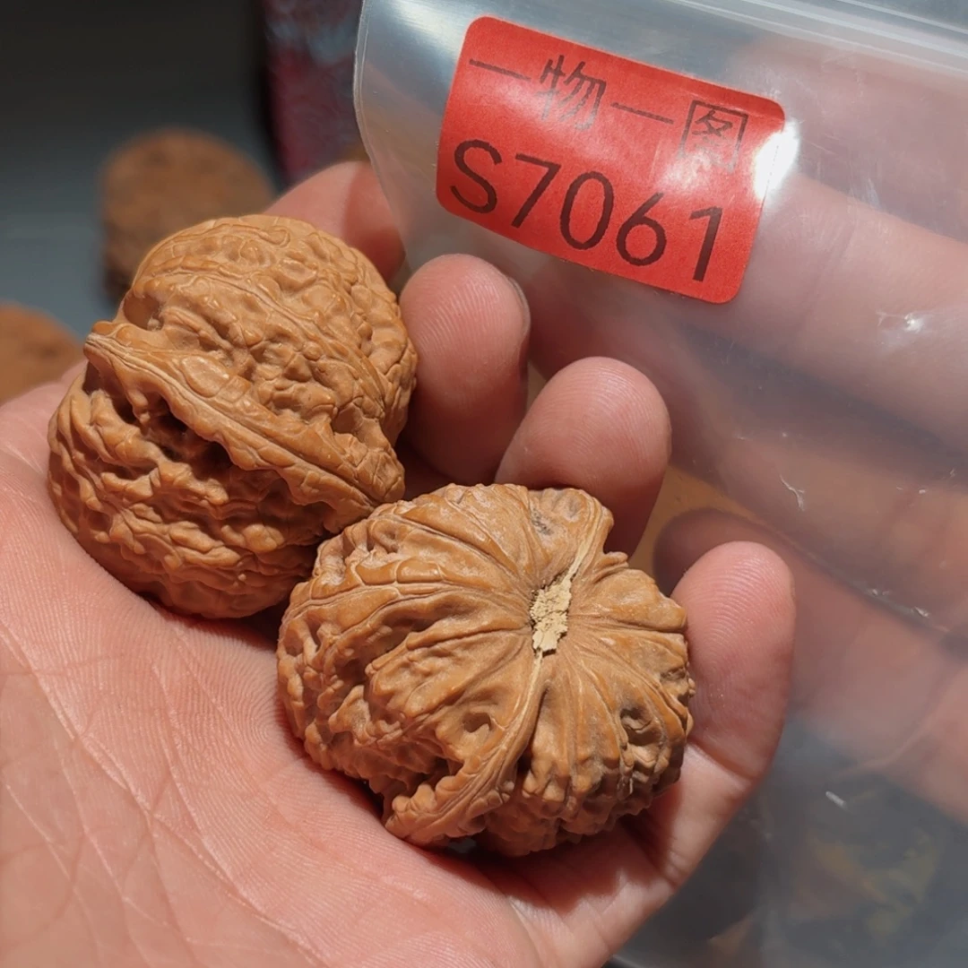 把件文玩核桃白狮子