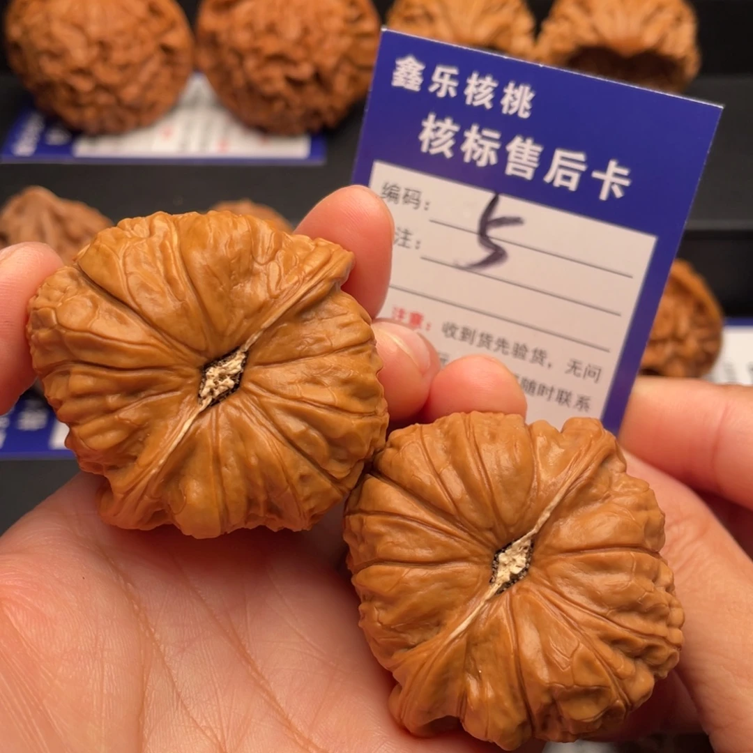 文玩核桃把件南瓜墩47全品5号