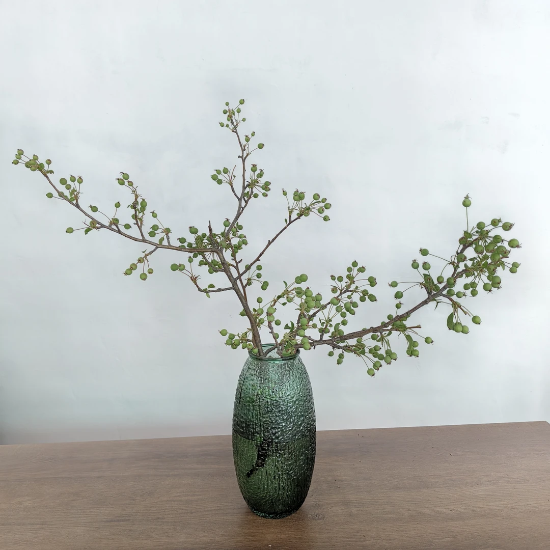 水培易活海棠果鲜枝室内客厅落地插花装饰绿植