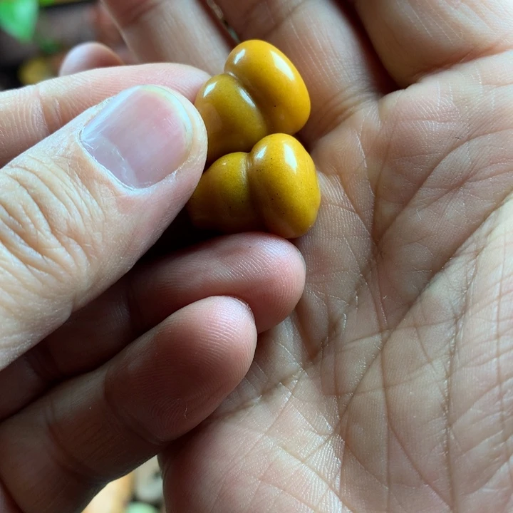 透闪石质玉吊坠未镶嵌家****9