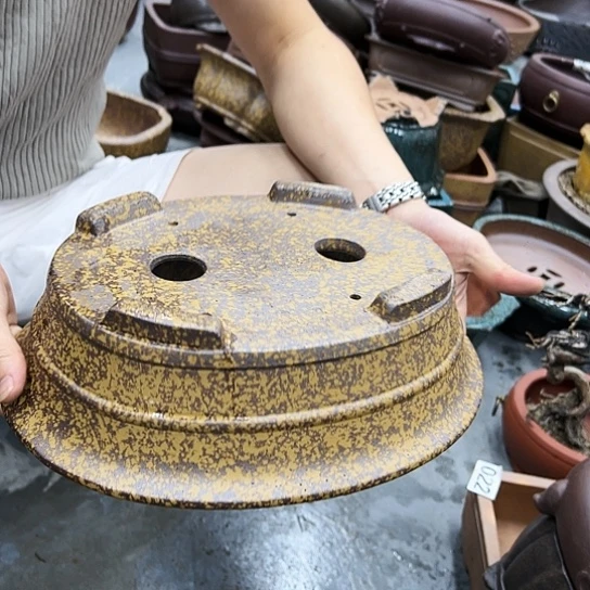 紫砂花盆里都藏的