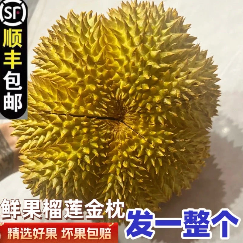 【现货速发】泰国金枕榴莲带壳一整个软糯香甜水果批发包邮