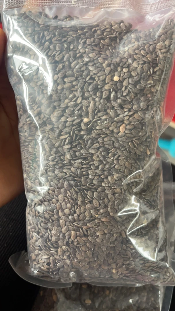 【5斤送硅胶勺子】福建干籽（黄金果小籽）