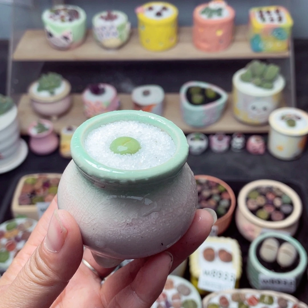 w8946 带盆土发货-零下地区拍保温箱