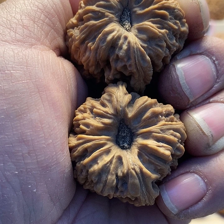 博***驰吊坠桃核涿鹿原产地老树一代南将石