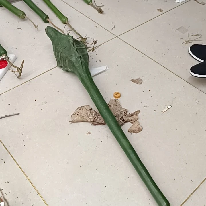 李***笑木鹤首葫芦鹤首葫芦直杆子