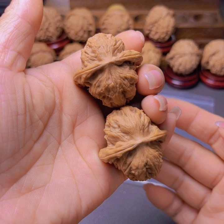 核桃转用链接，福利野狼不退不换