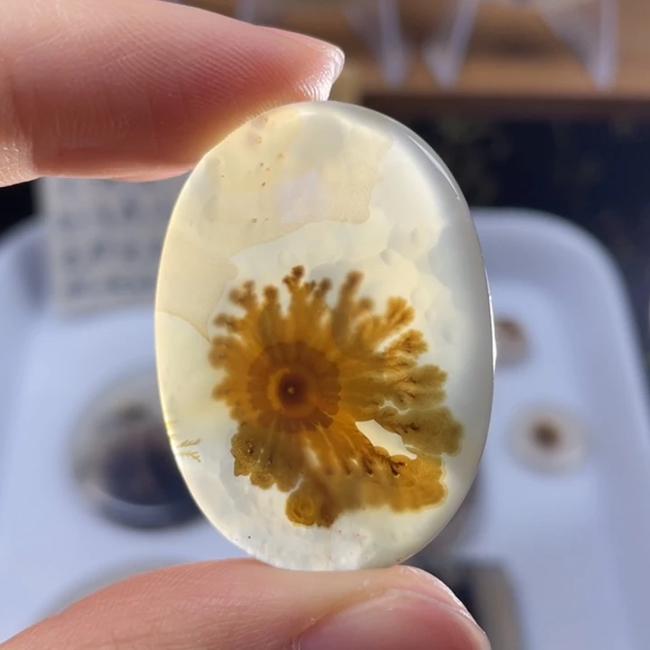 玛瑙/玉髓未镶嵌牌子