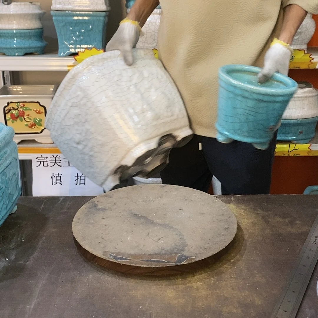 ╰****︶花盆花盆里的花都开了