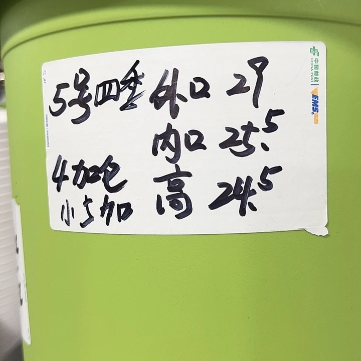 特价5号四季口29高24.5果绿无托6个