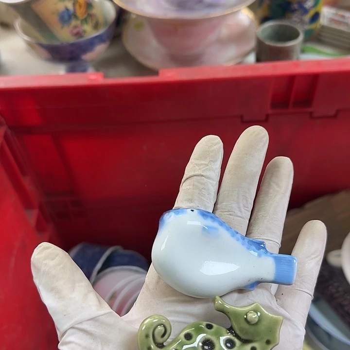 碟开播啦….开播啦