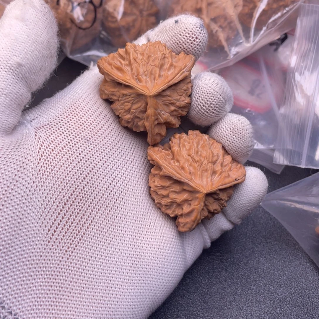 囍*.老姐咯哦哦哦哦哦呜