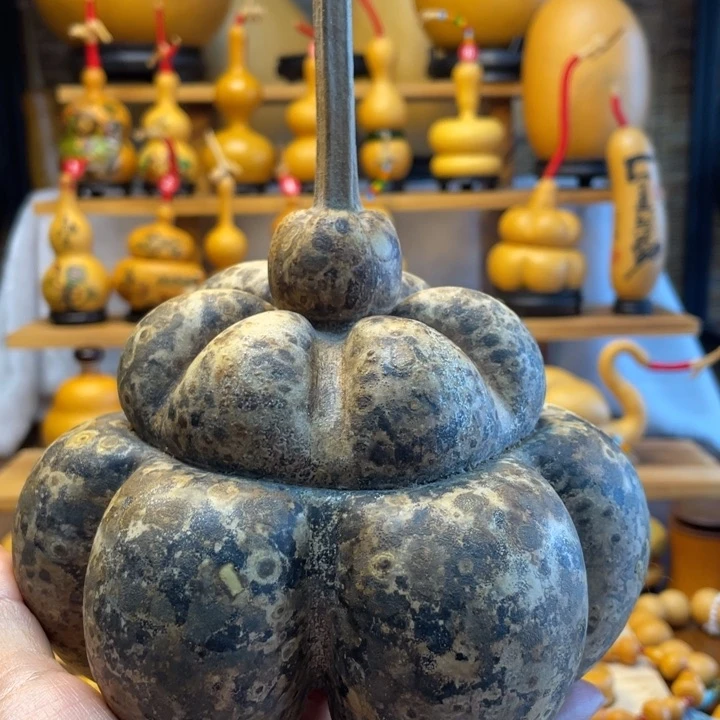 认***了天然葫芦自然生长