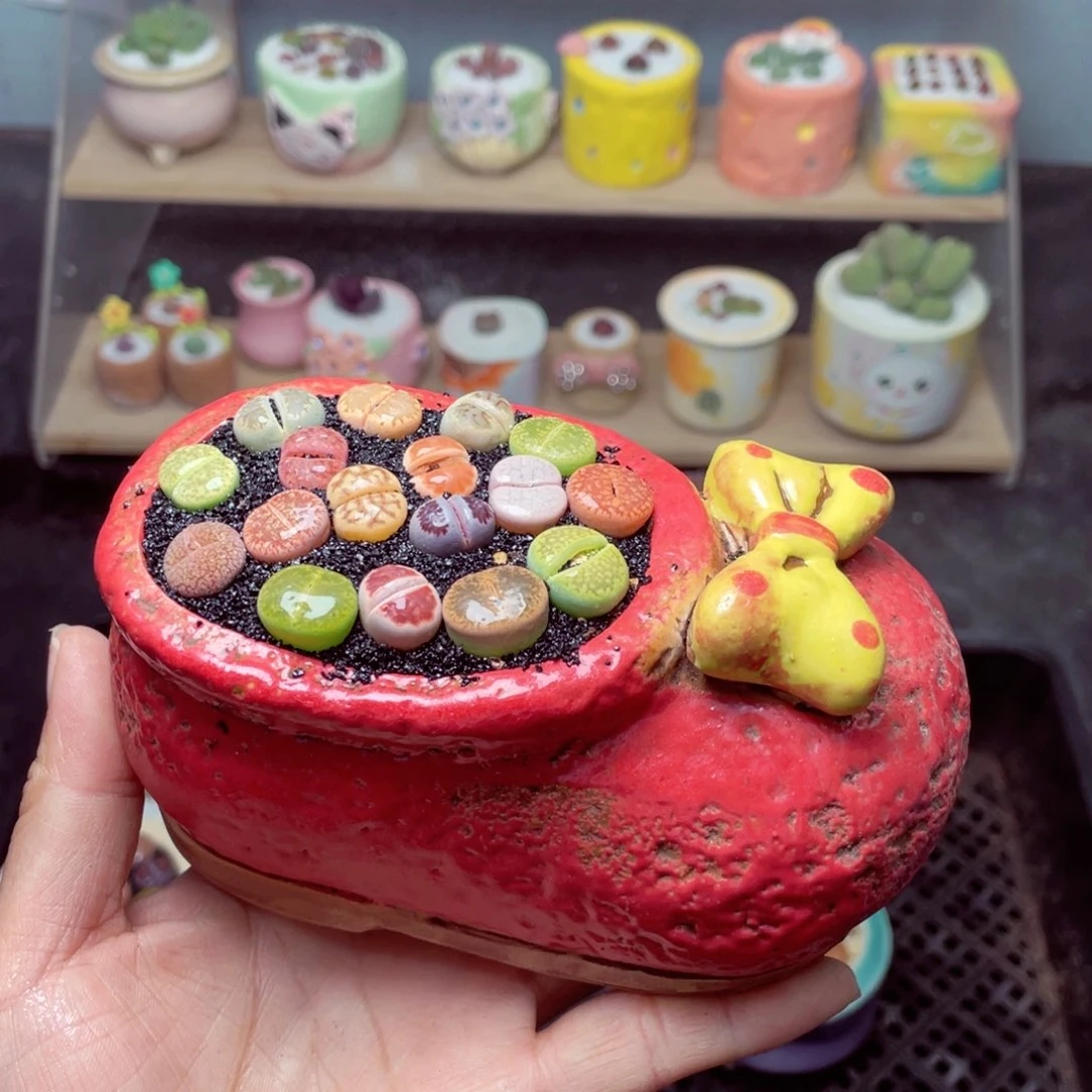 w1079 带盆土发货-零下地区拍保温箱