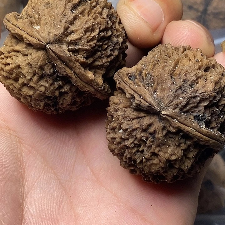 把件文玩核桃云南铁核桃41
