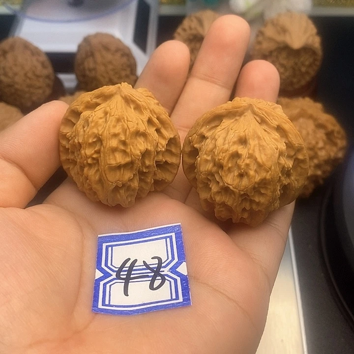 把件文玩核桃37白狮子