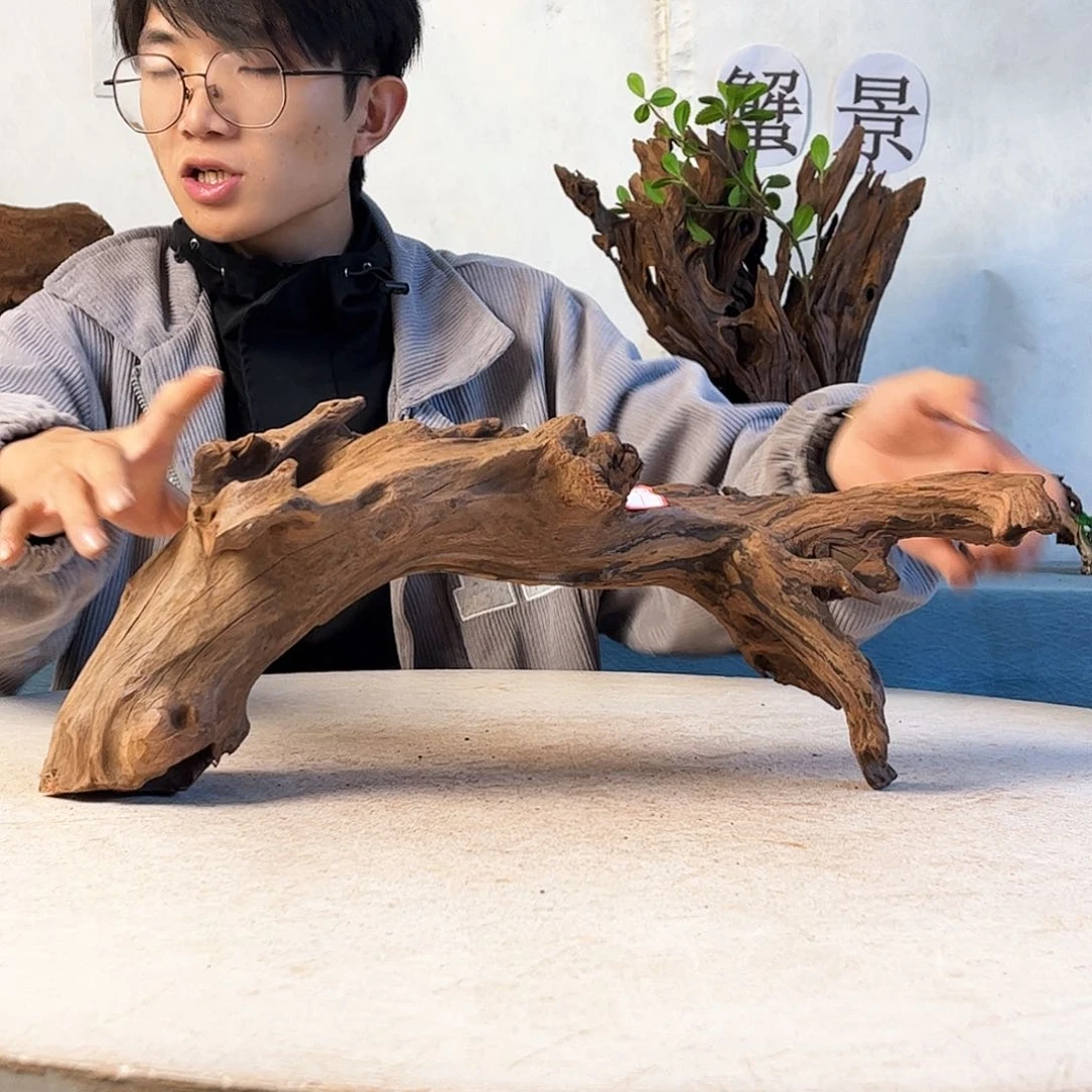 49.13.18 沉木造景爬宠造景