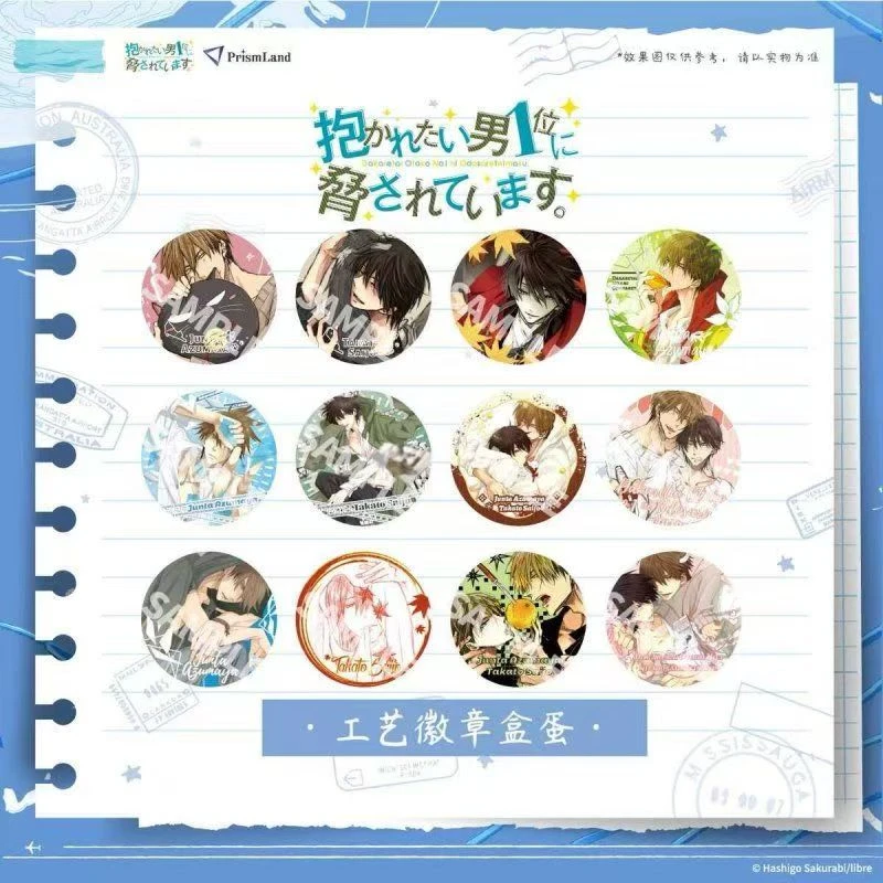 抱胁工艺吧唧工艺徽章盒蛋《盲盒》（下单开拆不退不换）