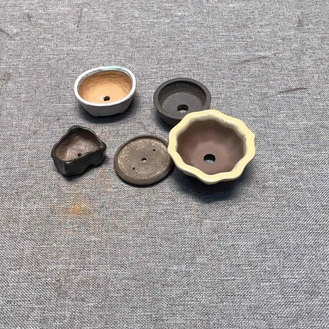 但****高我们都在努力着改变自己和