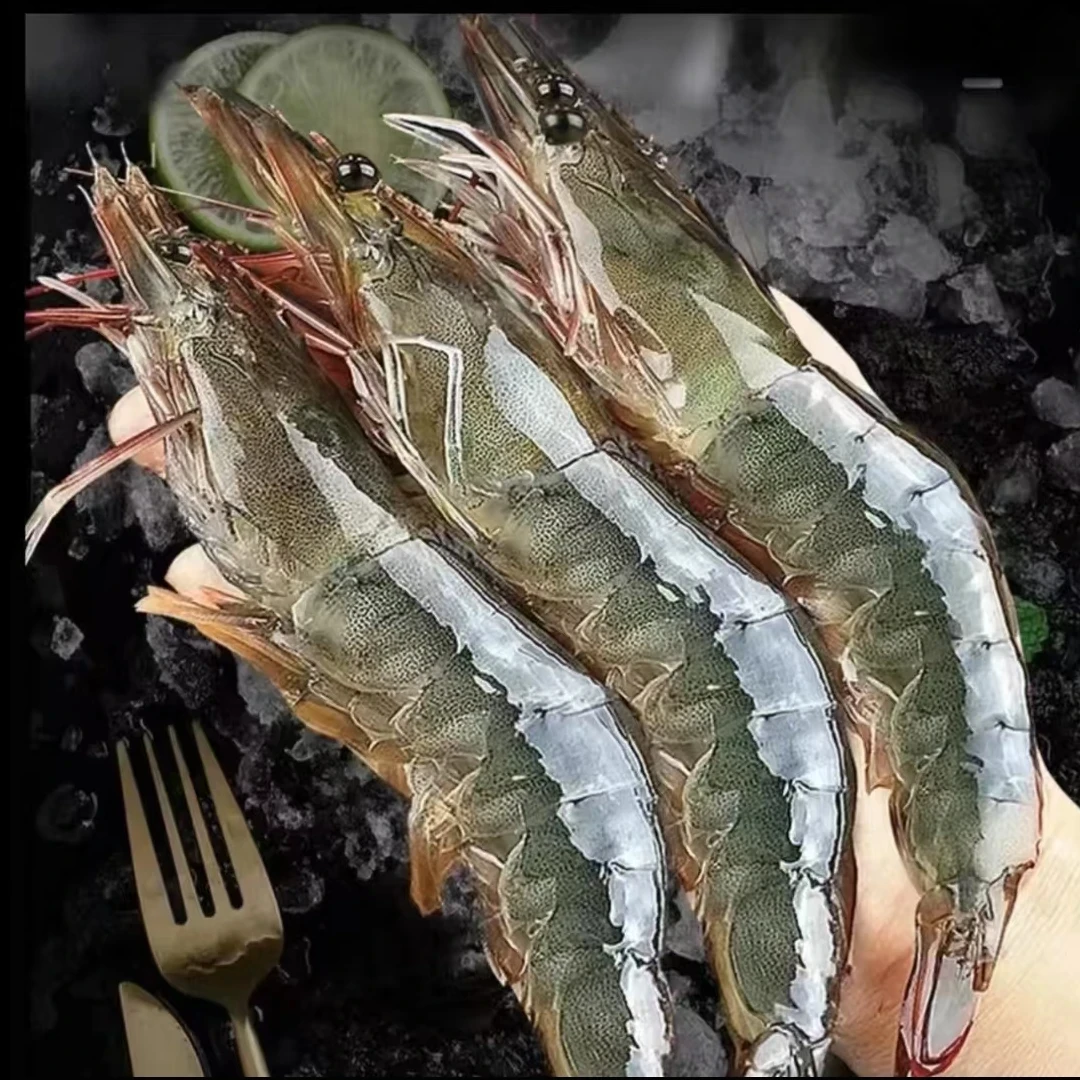 SC【青岛大虾】肉质鲜嫩大个头海水大虾单只15~18cm一盒4斤40~50只海鲜