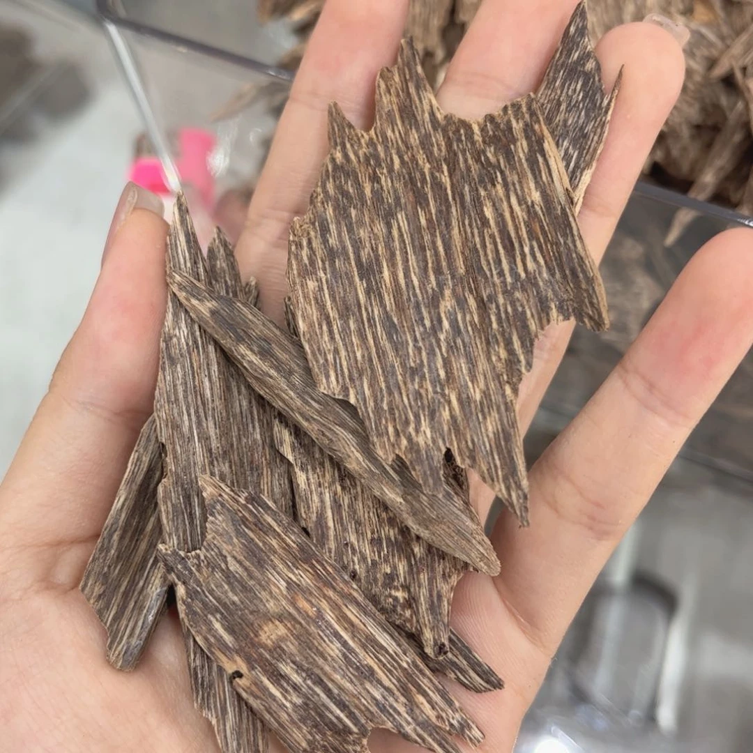 香榧木海南尖峰岭糖结老树心12克