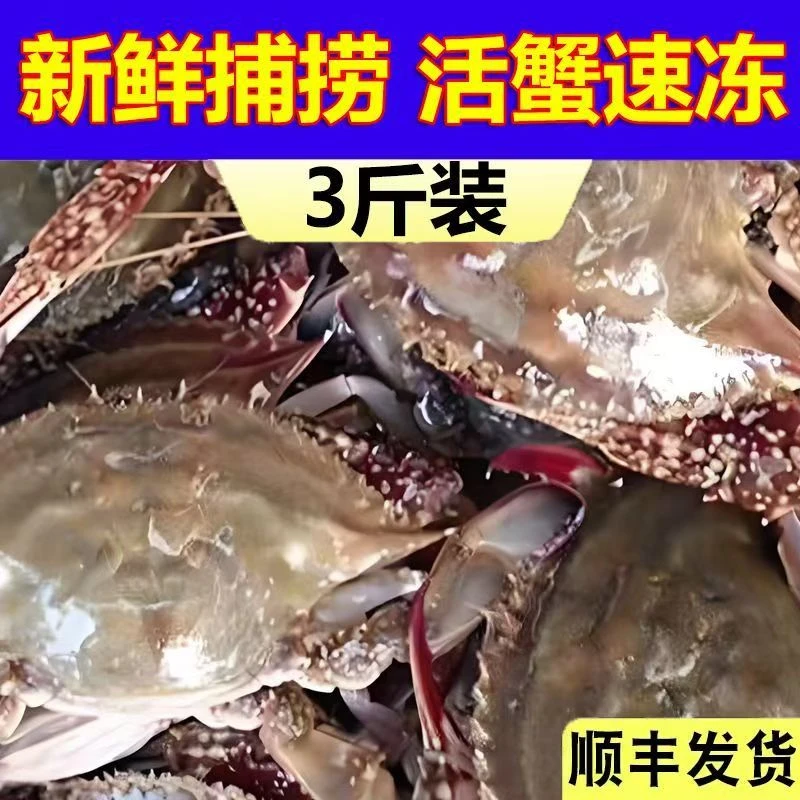 【买2斤送1斤】鲜活速冻特大号肉蟹海蟹多规格冷冻海鲜6-8两每只