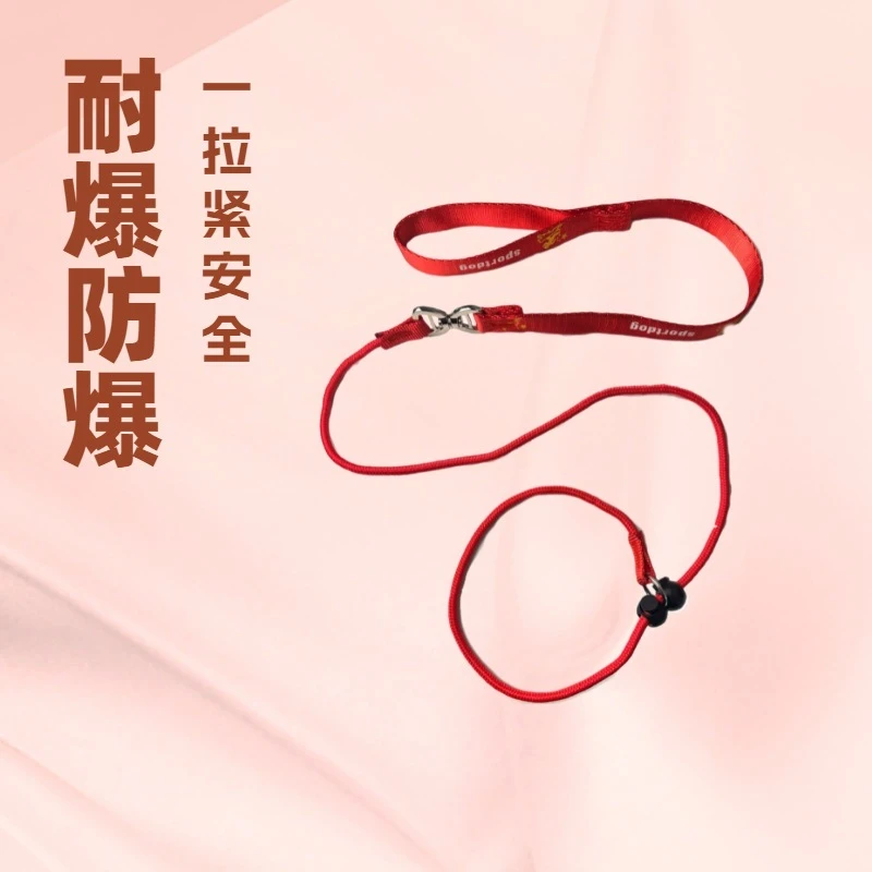 宠物P链P字绳训犬用品狗狗牵引绳遛狗绳子小狗链子小型犬中型大型