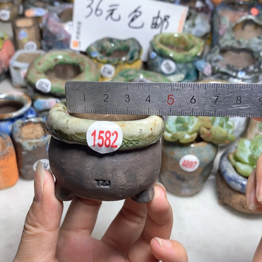 拍3送一个小礼物