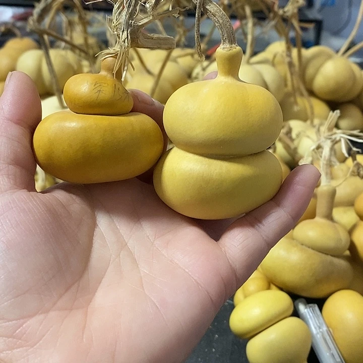 探**L葫芦的颜色很好看