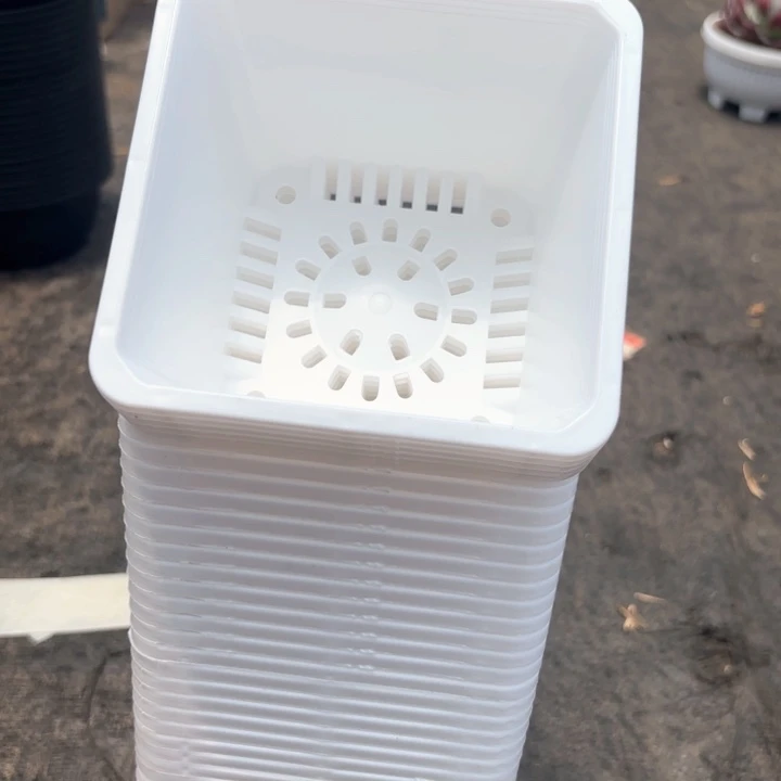 120白方盆11公分高8公分20个