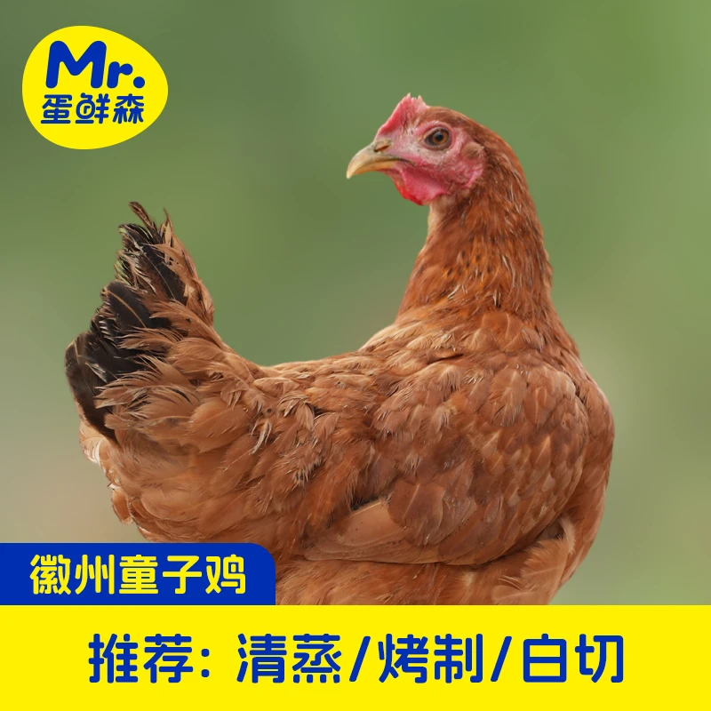 蛋鲜森徽州童子鸡三只装单只800克谷饲喂养净膛D