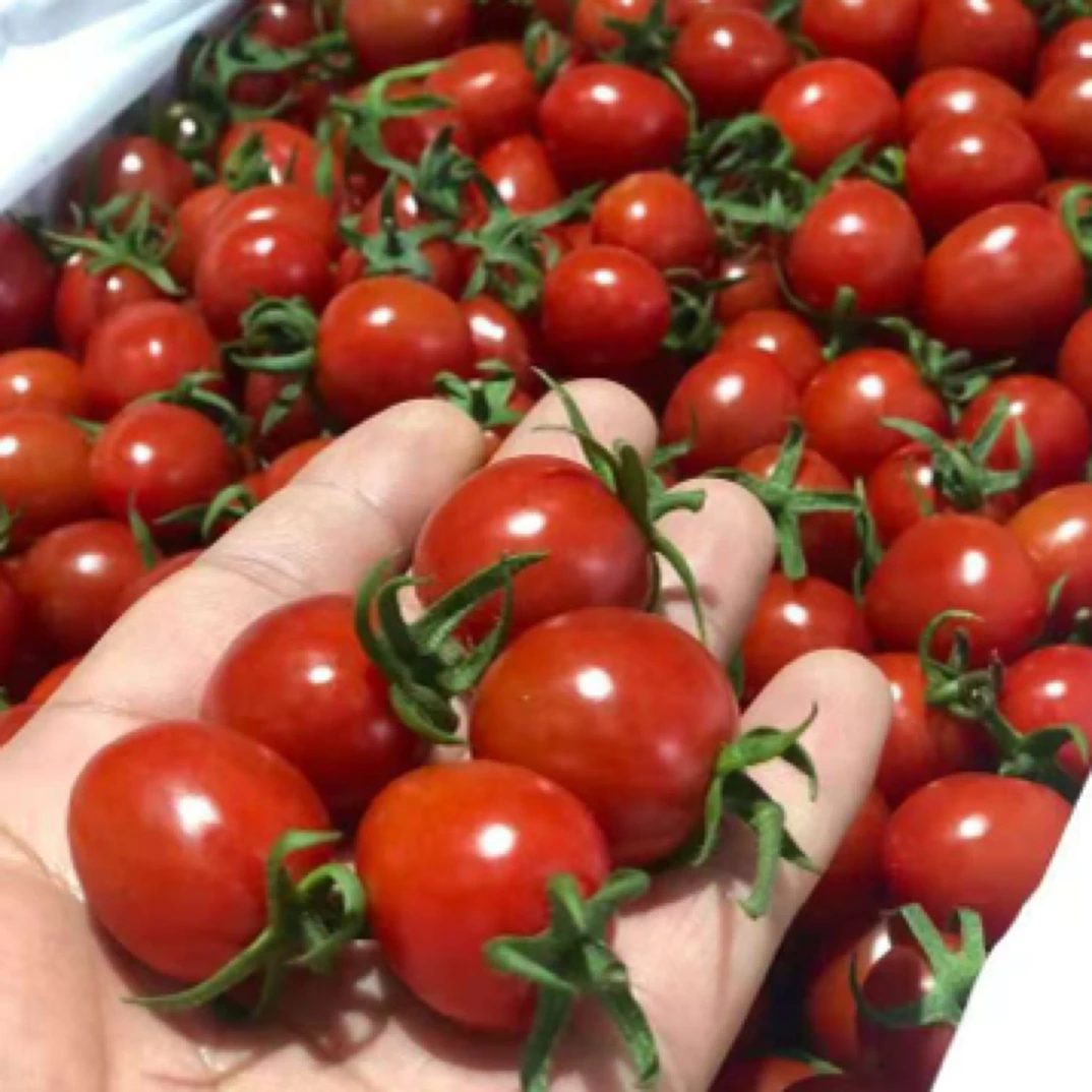 彩蜂王爆浆千禧一箱纯甜3斤装左右