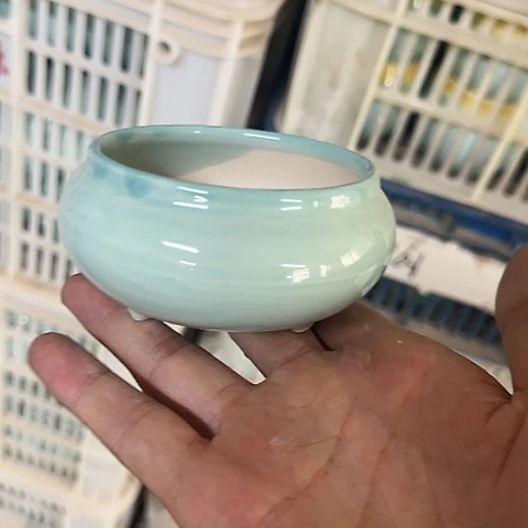 ····全是福利····