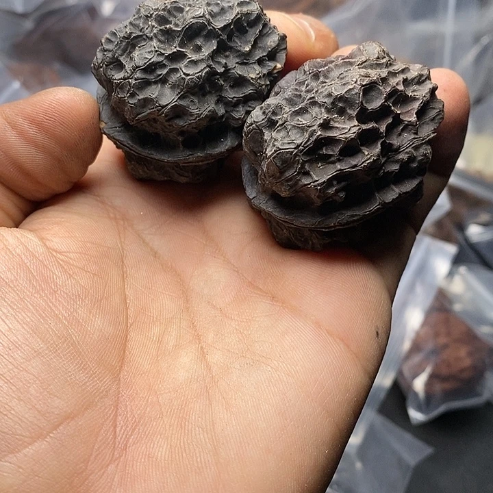 文玩核桃把件  157